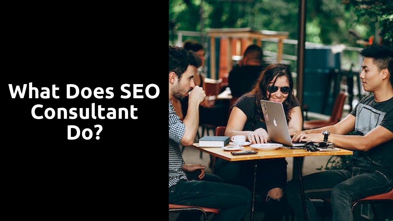 What does SEO consultant do?