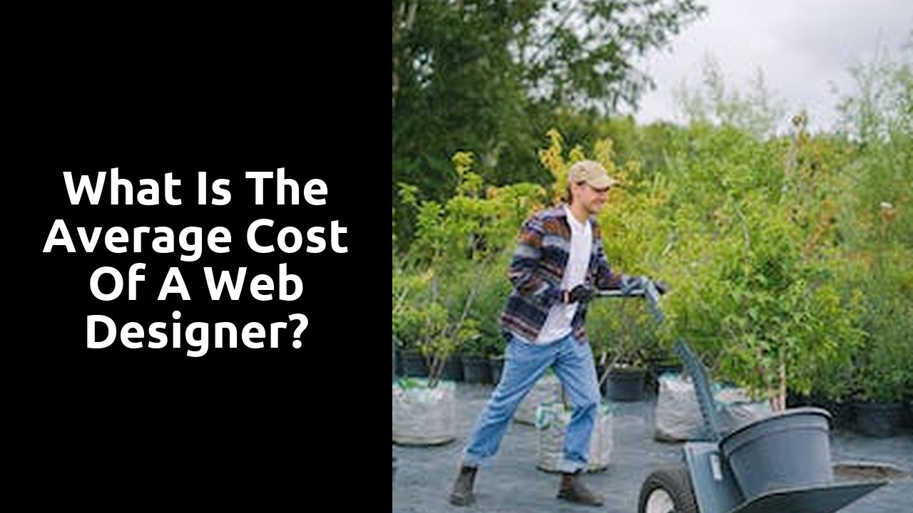 What is the average cost of a web designer?
